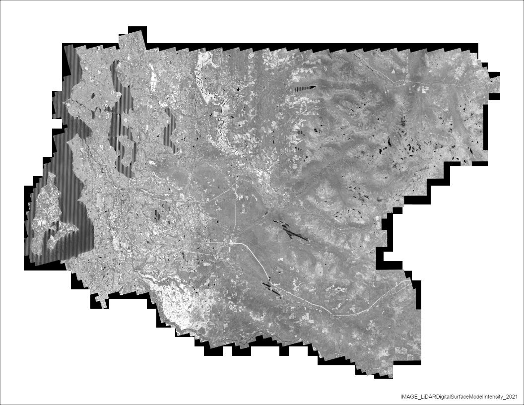 2021 LiDAR Digital Intensity Model
