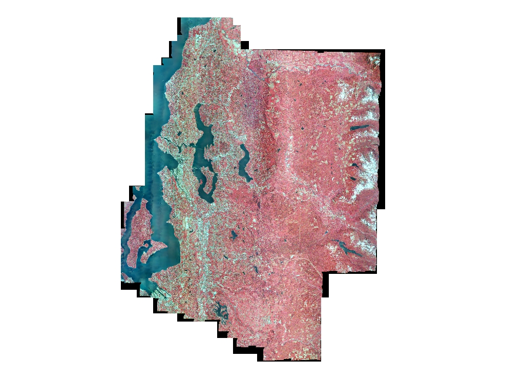 2009 Aerials Express Color Infrared Orthoimagery
