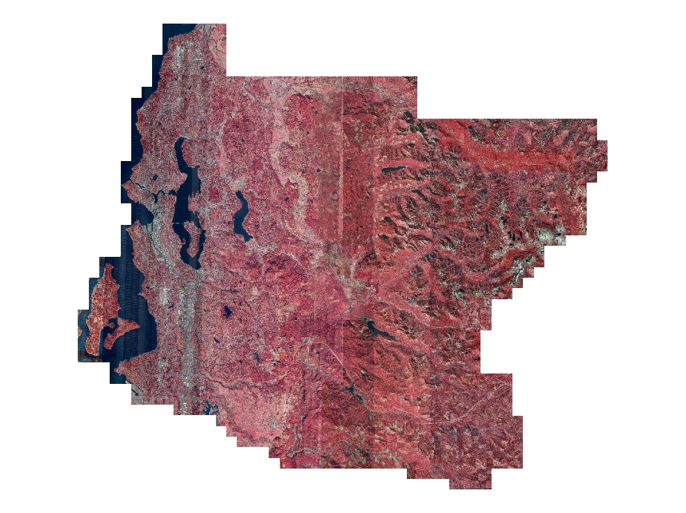 2010 King County (iTen) Orthoimagery - 6 in Natural Color and Color Infrared imagery for western King County and SW Snohomish County
