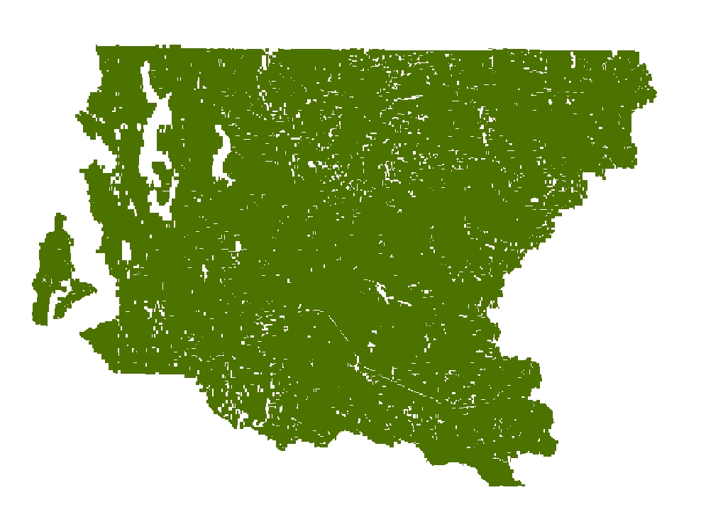 2019 King County Forest Cover from Pictometry Imagery
