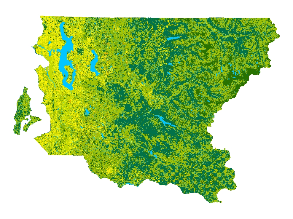 2002 Land-cover Analysis of the Greater Puget Sound Region - King County portion