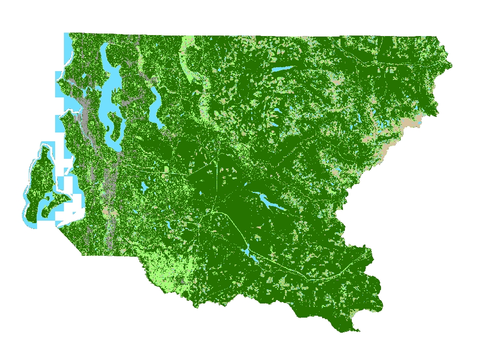 2019 King County Landcover from Pictometry Imagery