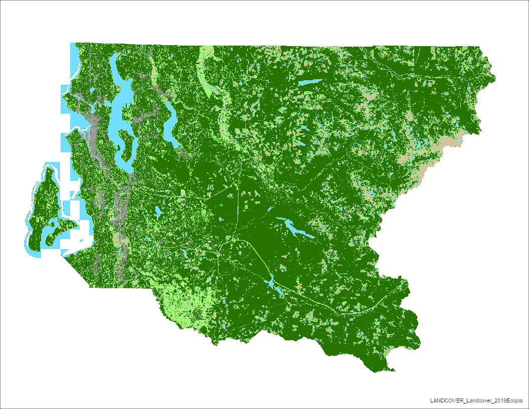 2019 King County Landcover from Pictometry Imagery