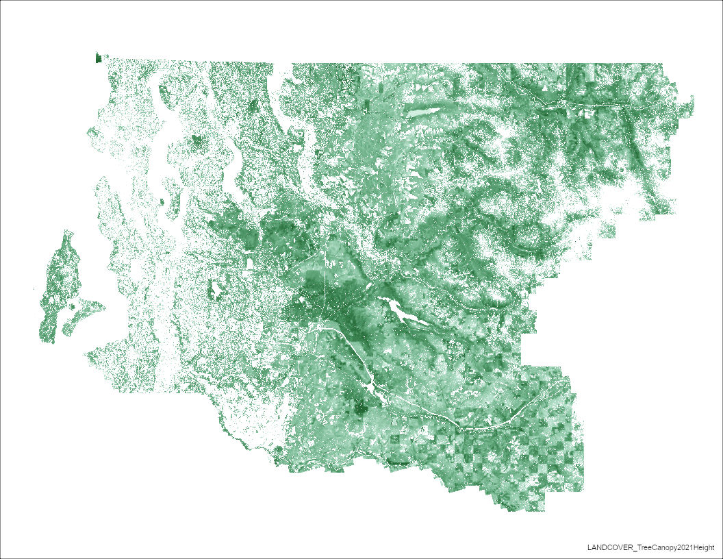 2021 Tree Canopy Height for King County