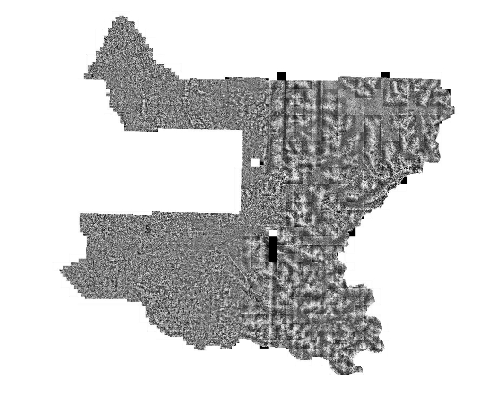 2003 LiDAR Digital Surface Model (DSM) Intensity