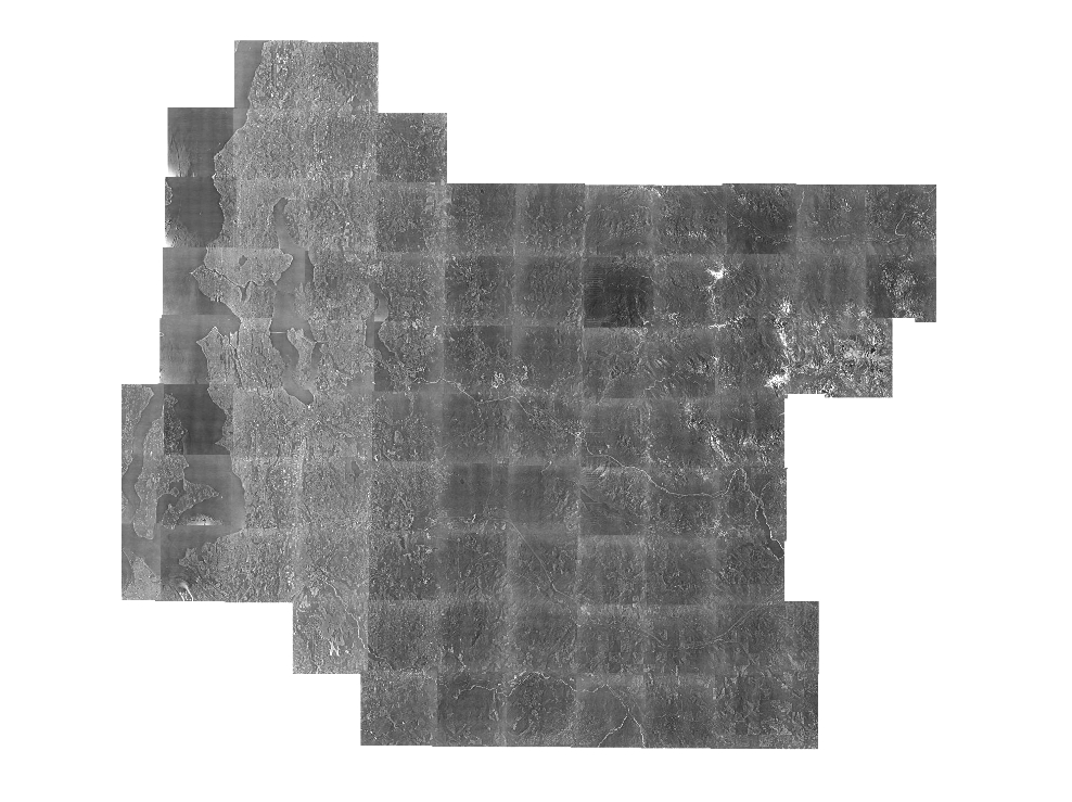 1998 Washington Department of Natural Resources (WADNR) 3-foot panchromatic orthophotography