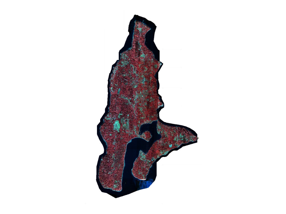 2000 DAIS Color Infrared 8-bit Aerial Photography