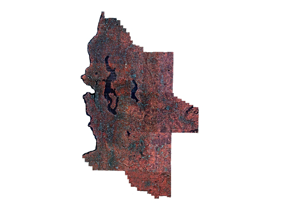 2000 Emerge Color Infrared Aerial Photography