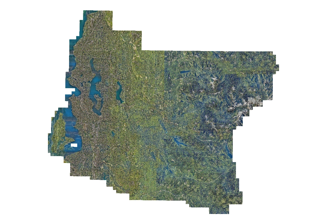 2013 King County (Pictometry) Orthogonal Base Imagery - 4 inch (west) and 9 inch (east)