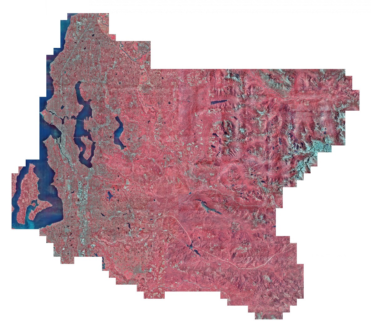 2025 King County (EagleView) Orthogonal Base Imagery - 3 inch (west) and 6 inch (east)
