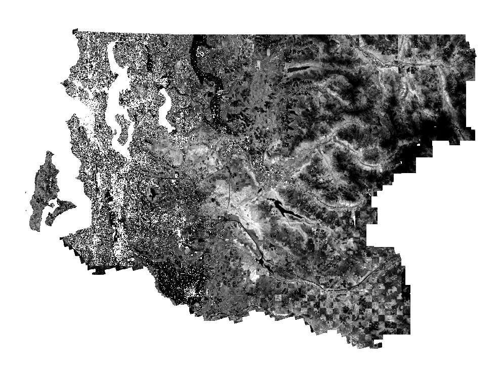 2021 Vegetation Area and Height