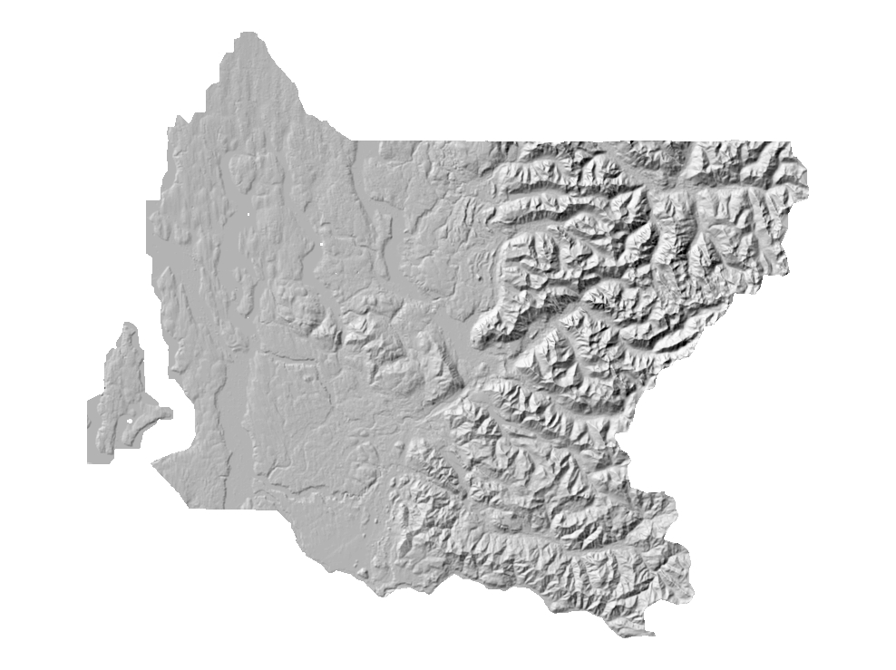 2003 LiDAR Digital Surface Model (DSM) Hillshade