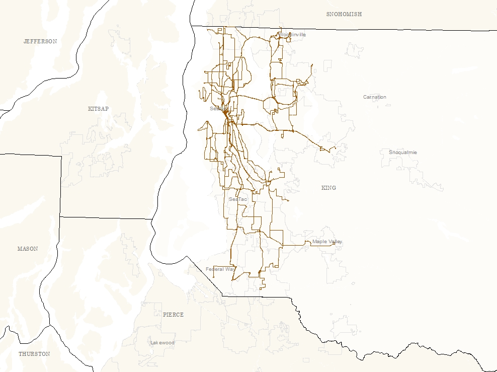 Metro Emergency Service Network in King County