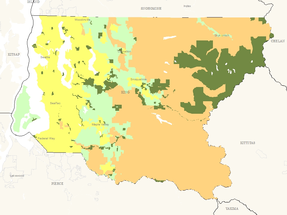 Growth Patterns in King County